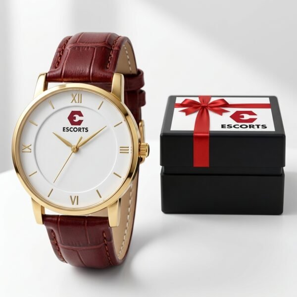 Gold Rim Roman Watch – Burgundy Leather Strap with Branded Gift Box
