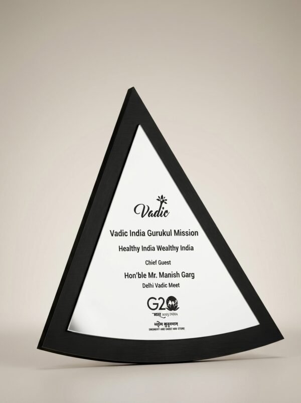 TriApex Metal-Framed Trophy – Triangular Recognition Memento