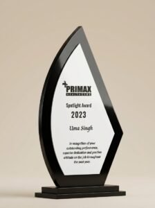 FlameCrest Spotlight Award – Flame-Shaped Black-Rimmed Recognition Trophy